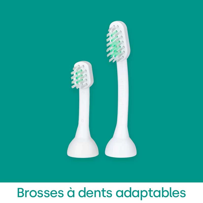 Brosses à dents adaptables